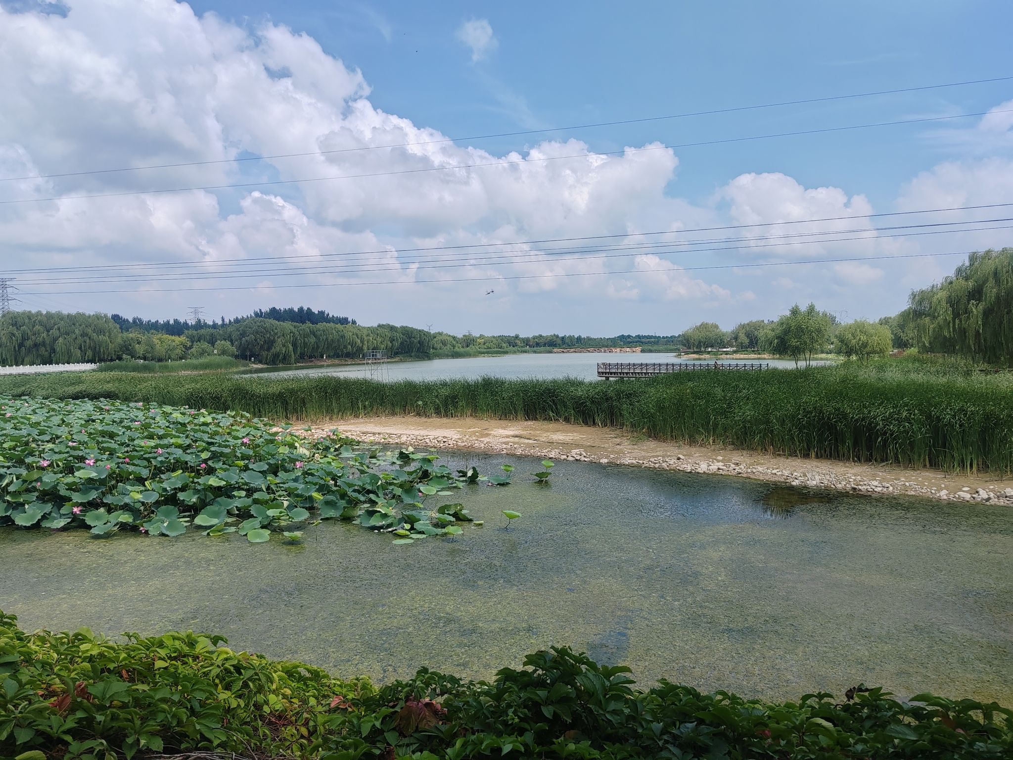 大陆泽国家湿地公园