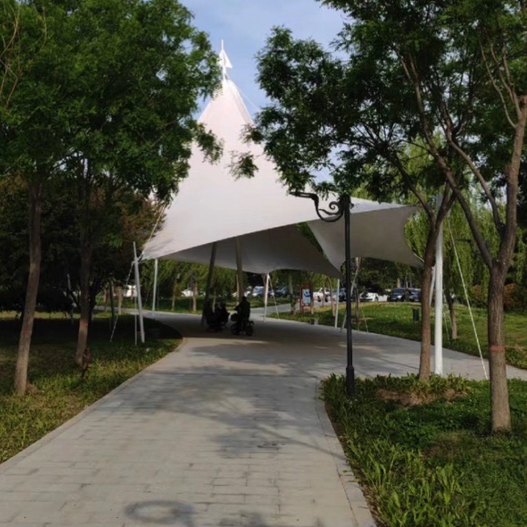 大陆泽国家湿地公园旅行图片 2