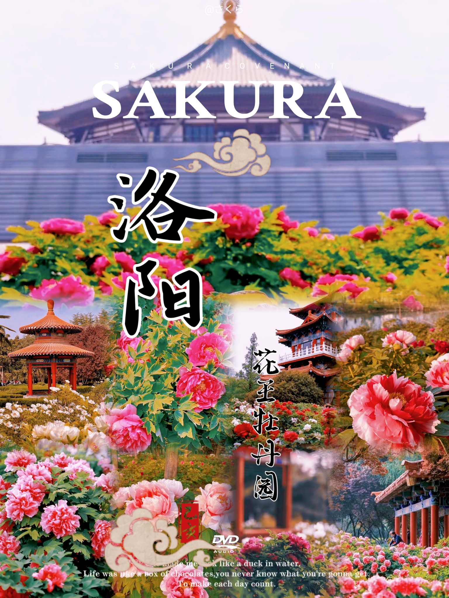 花王牡丹园旅行图片 1