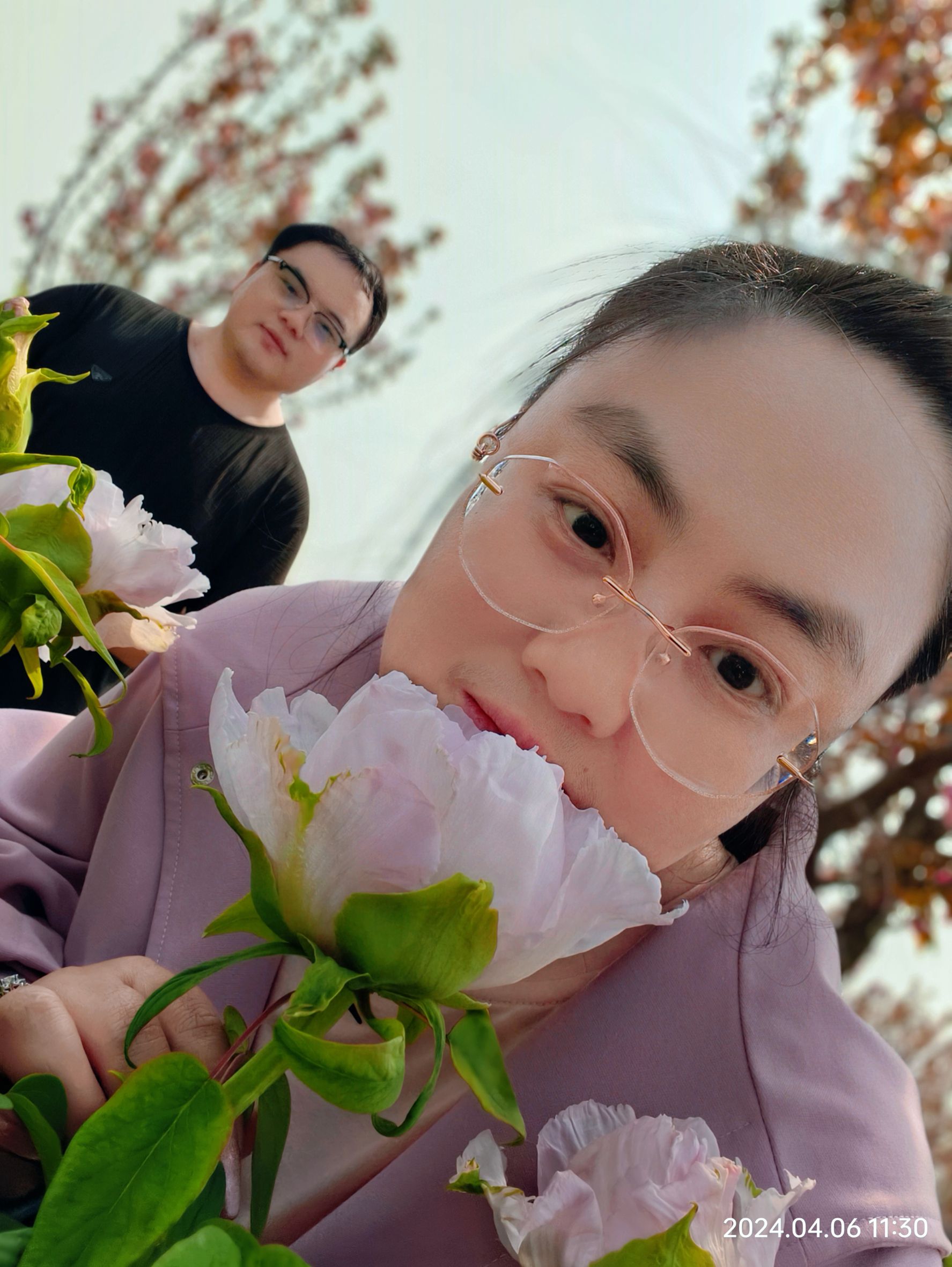 花王牡丹园旅行图片 1