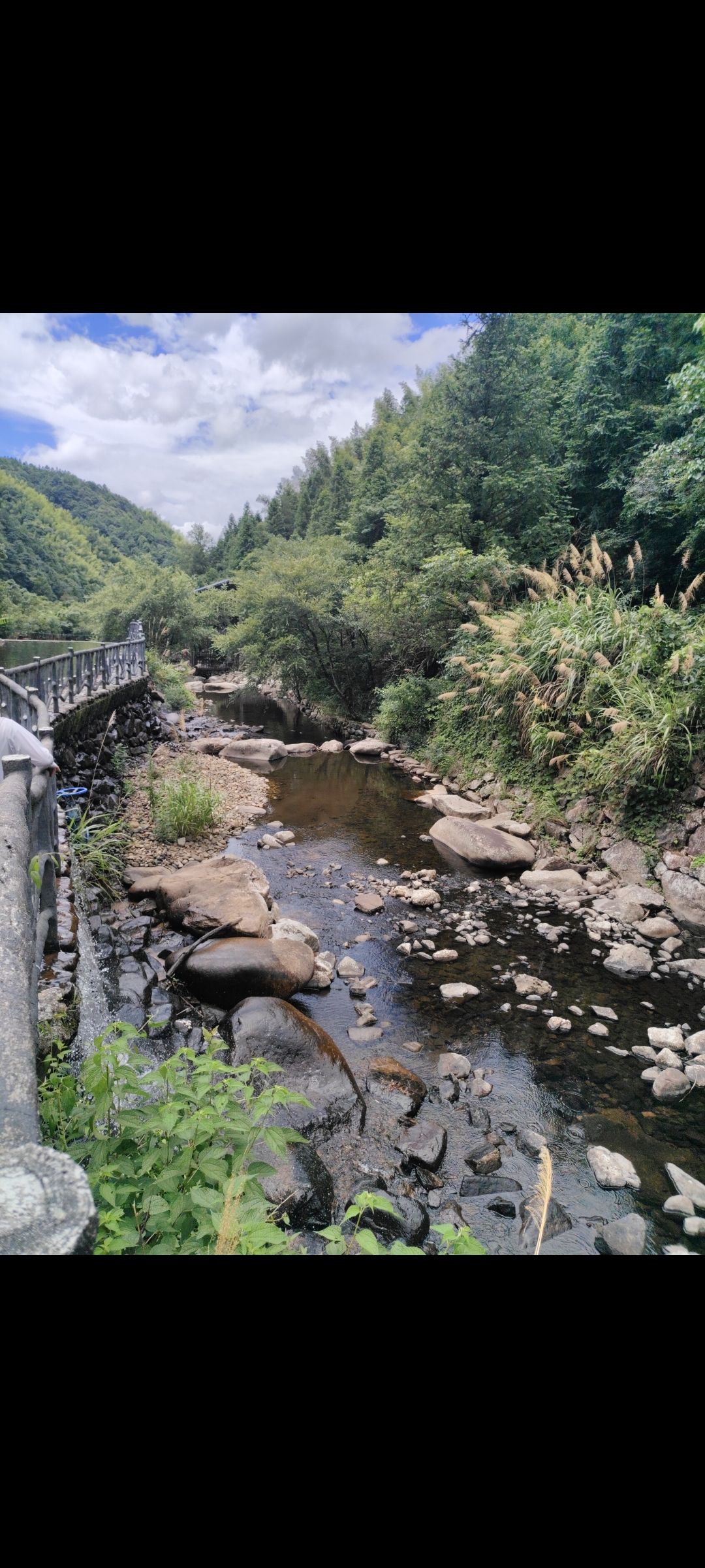 五府山蜜蜂谷旅行图片 3