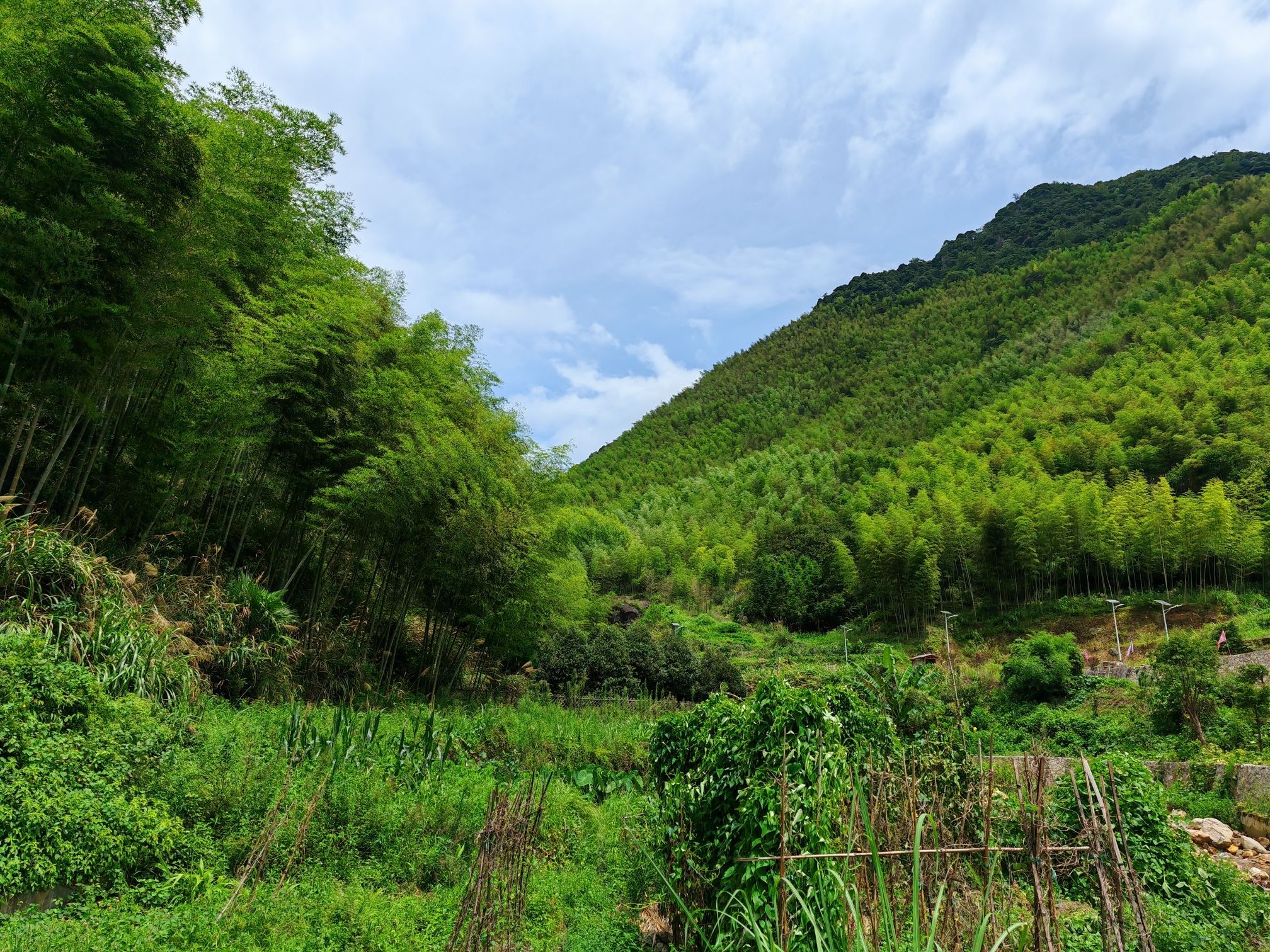 五府山蜜蜂谷旅行图片 3