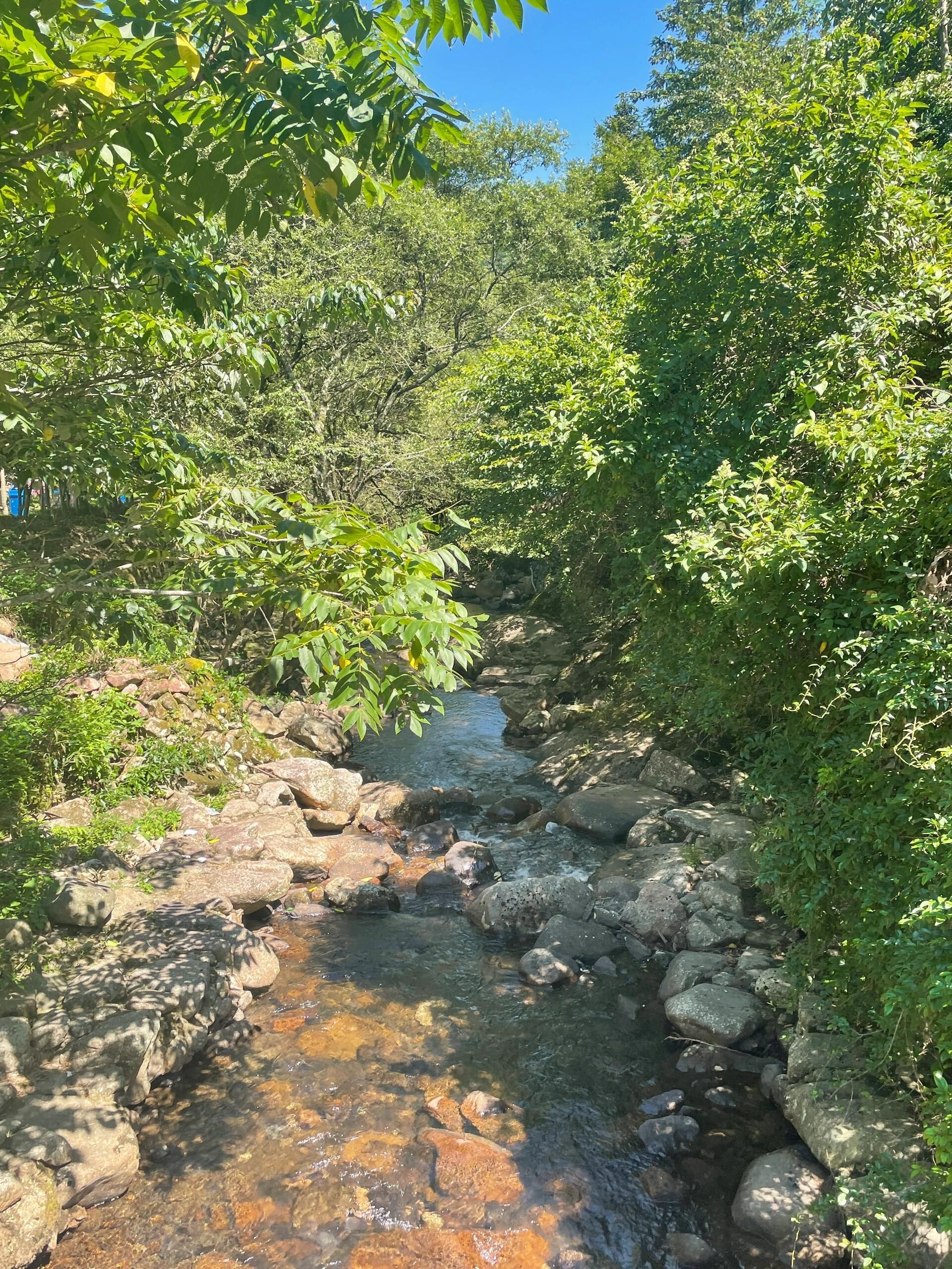 五府山蜜蜂谷旅行图片 2