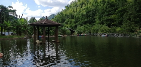 五府山蜜蜂谷旅行图片 1