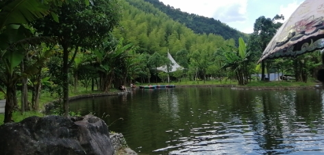 五府山蜜蜂谷旅行图片 2