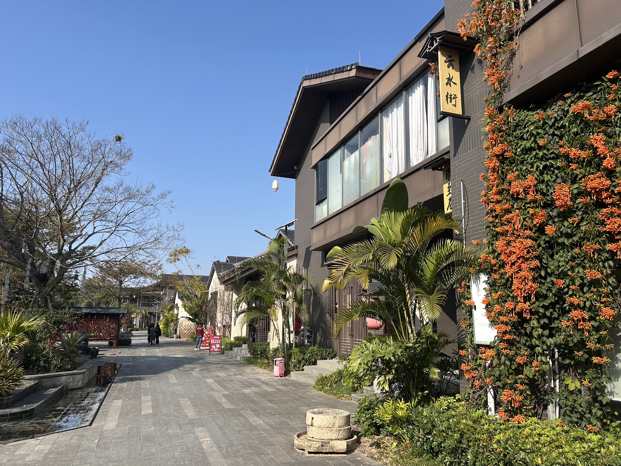 新兴禅域小镇旅游度假区旅行图片 1