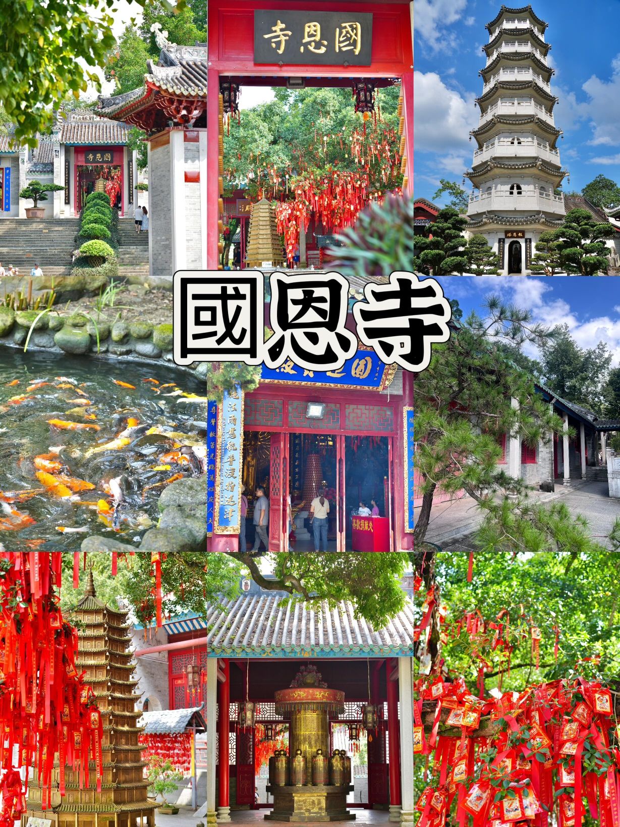 新兴禅域小镇旅游度假区旅行图片 3