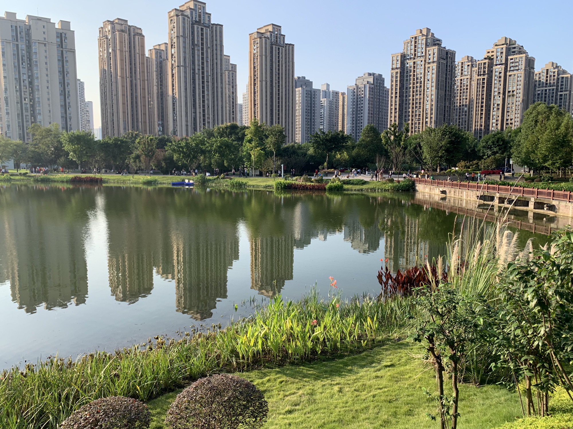 心湖公园旅行图片 3