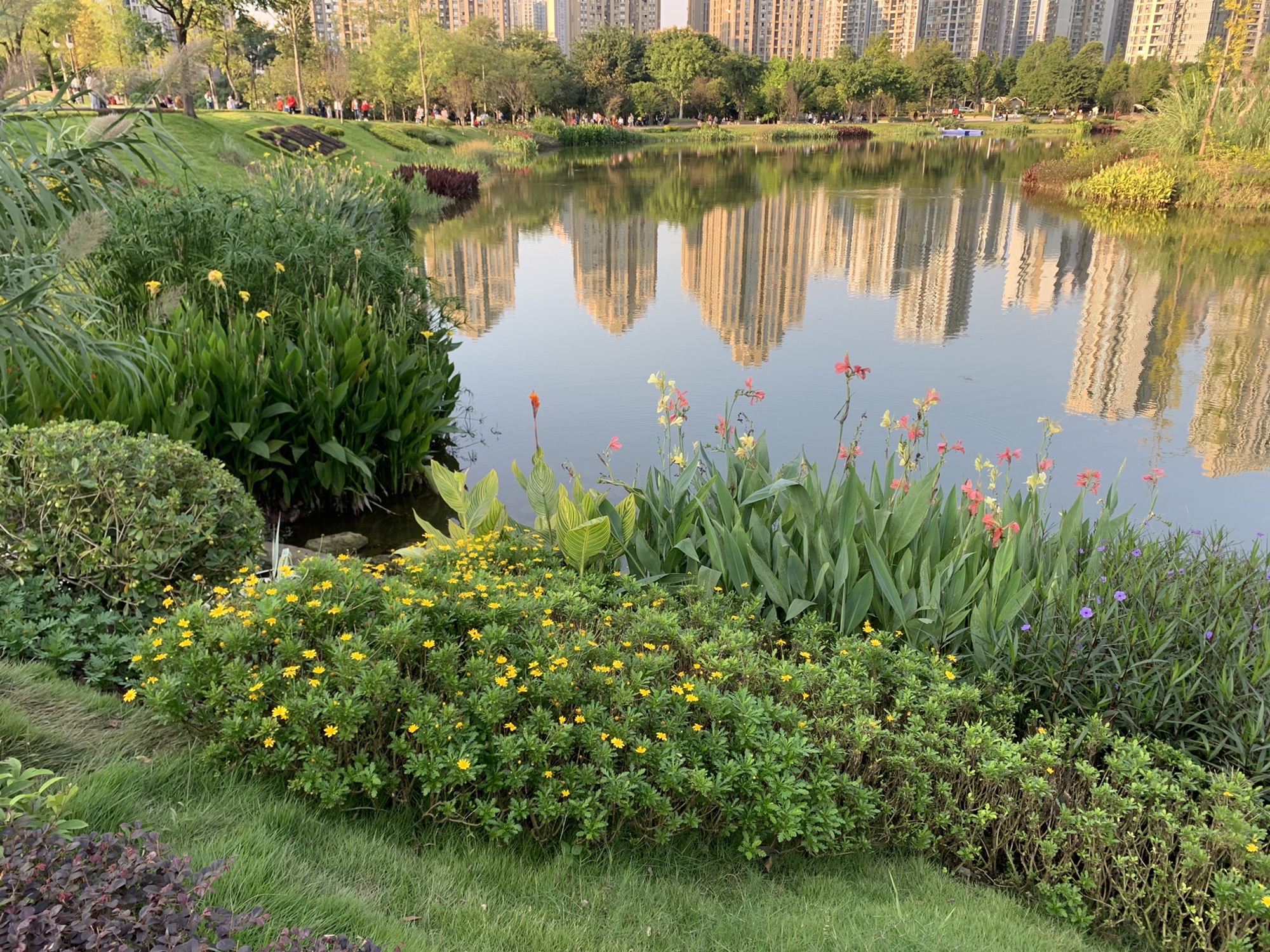 心湖公园旅行图片 2