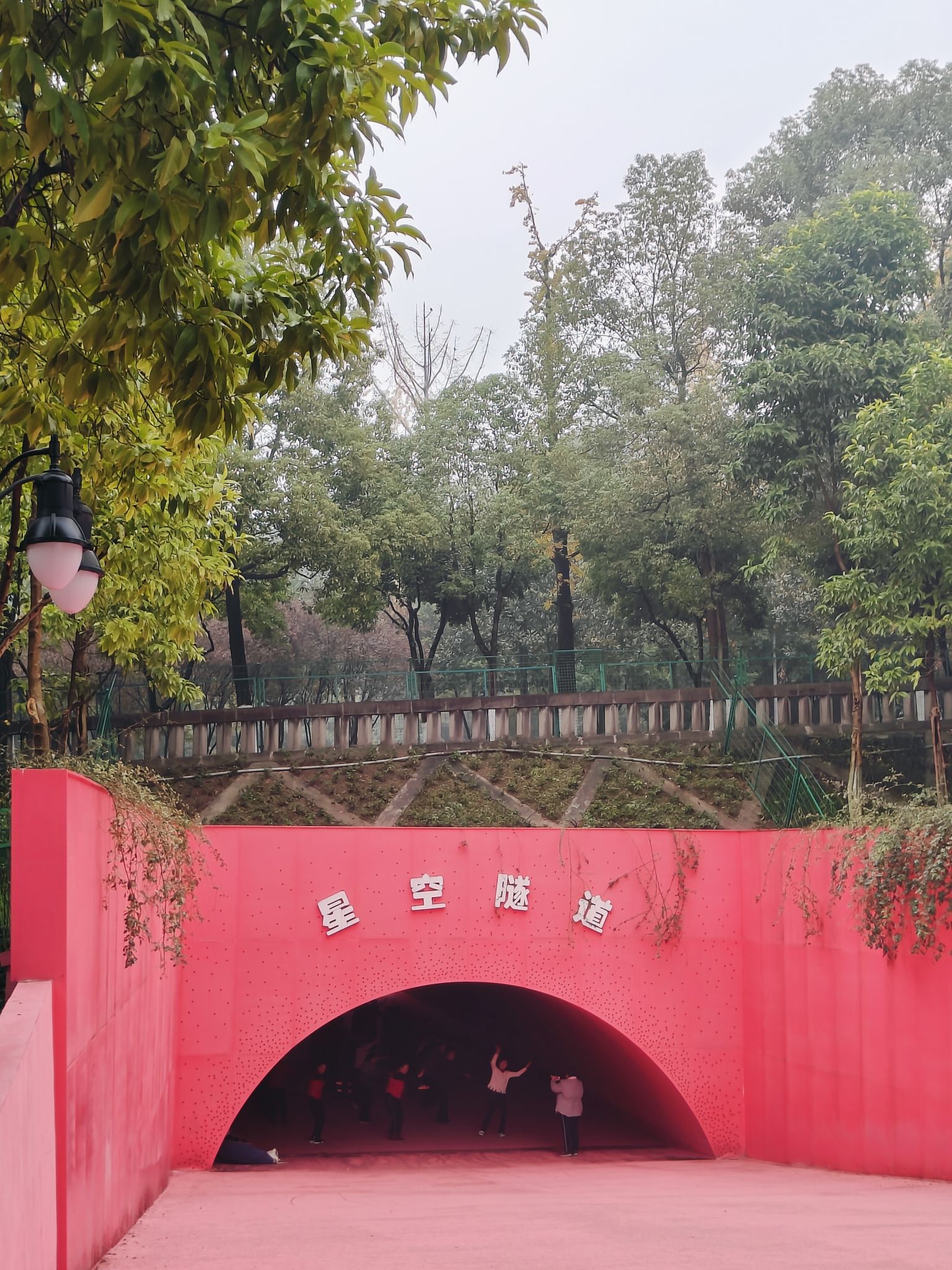 心湖公园旅行图片 3