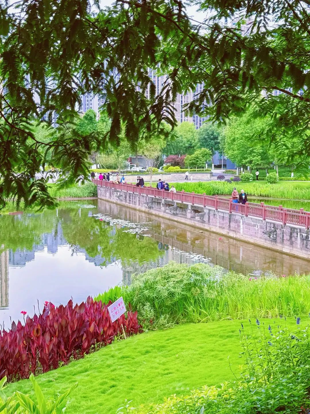 心湖公园旅行图片 2