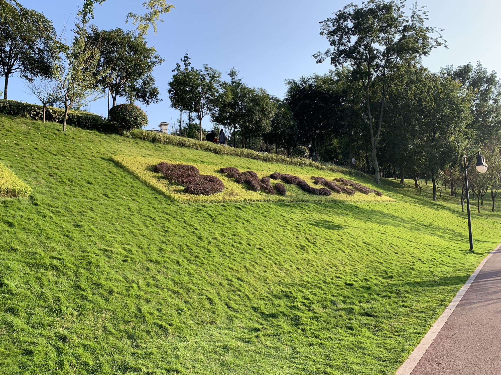 心湖公园旅行图片 1