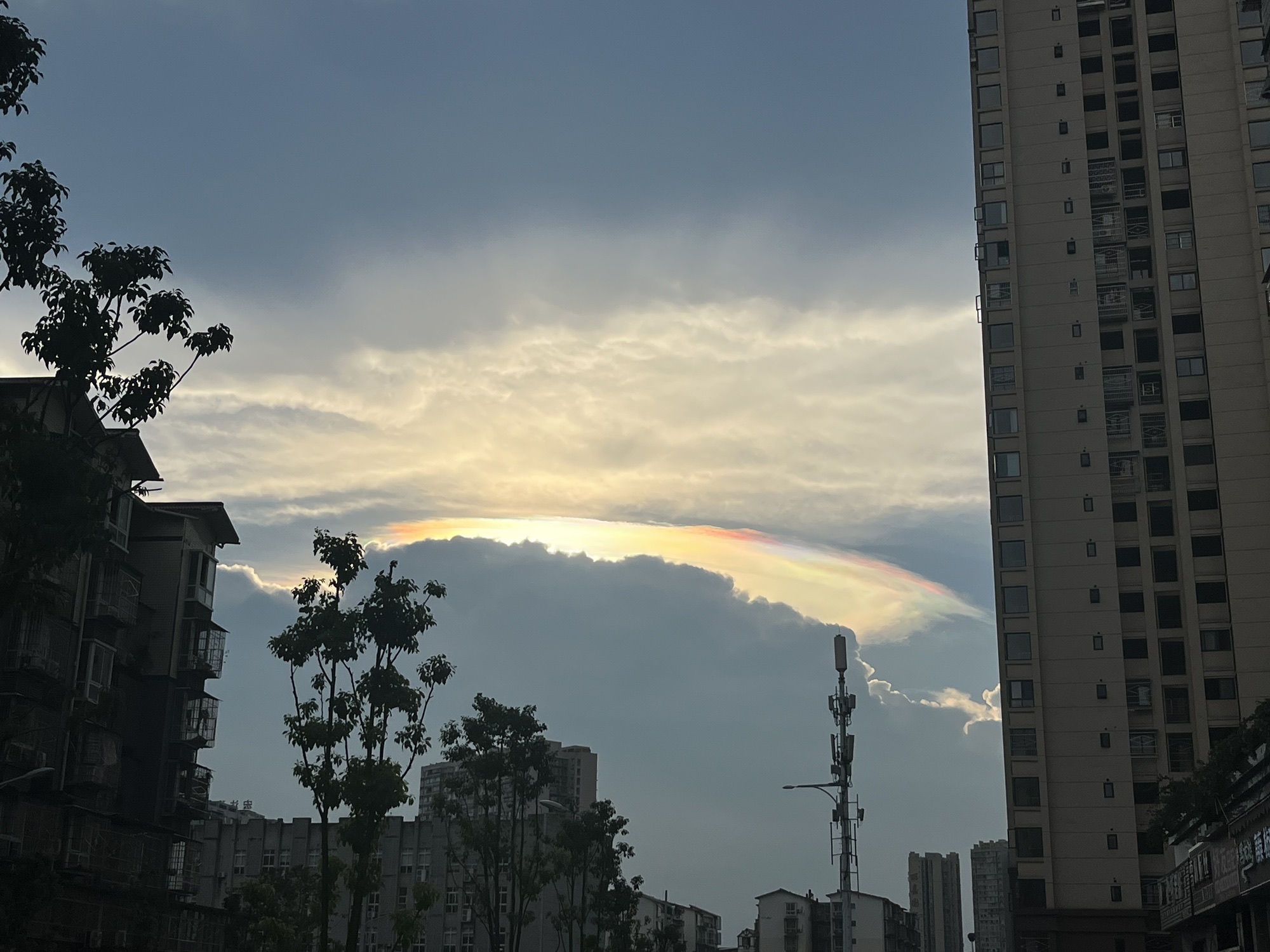 南山公园旅行图片 2