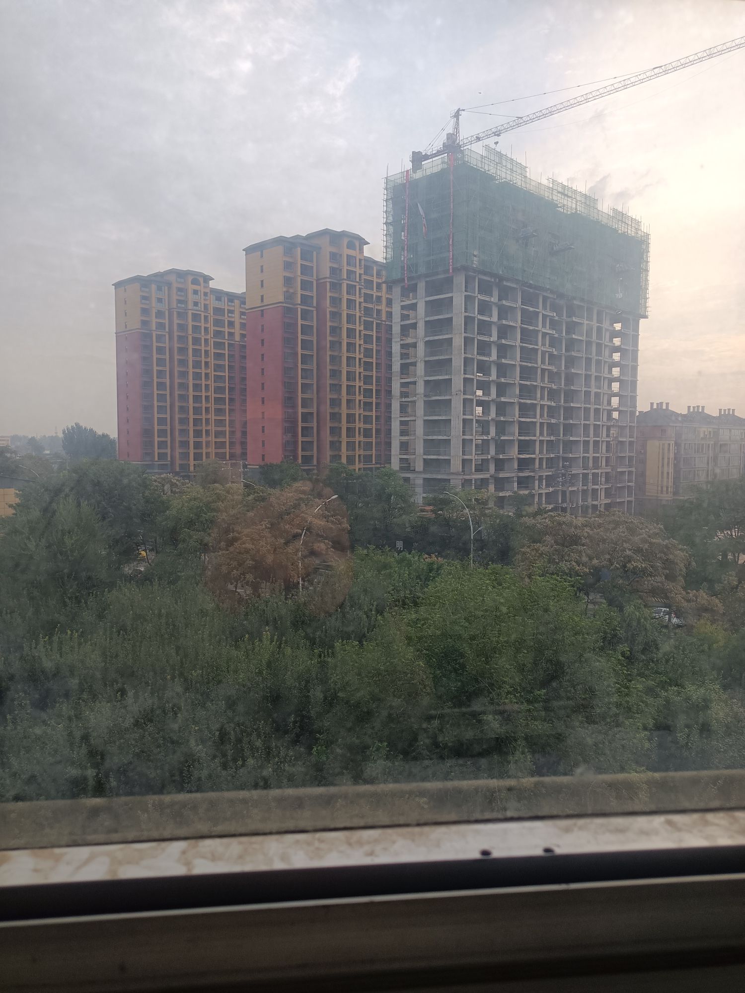 西平南城河公园旅行图片 1