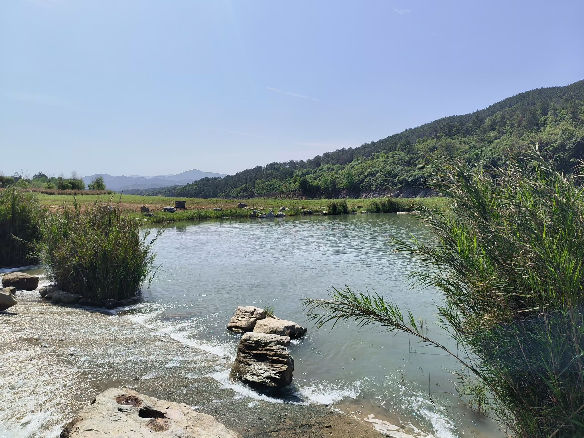 杭溪河入湖口湿地公园旅行图片 3