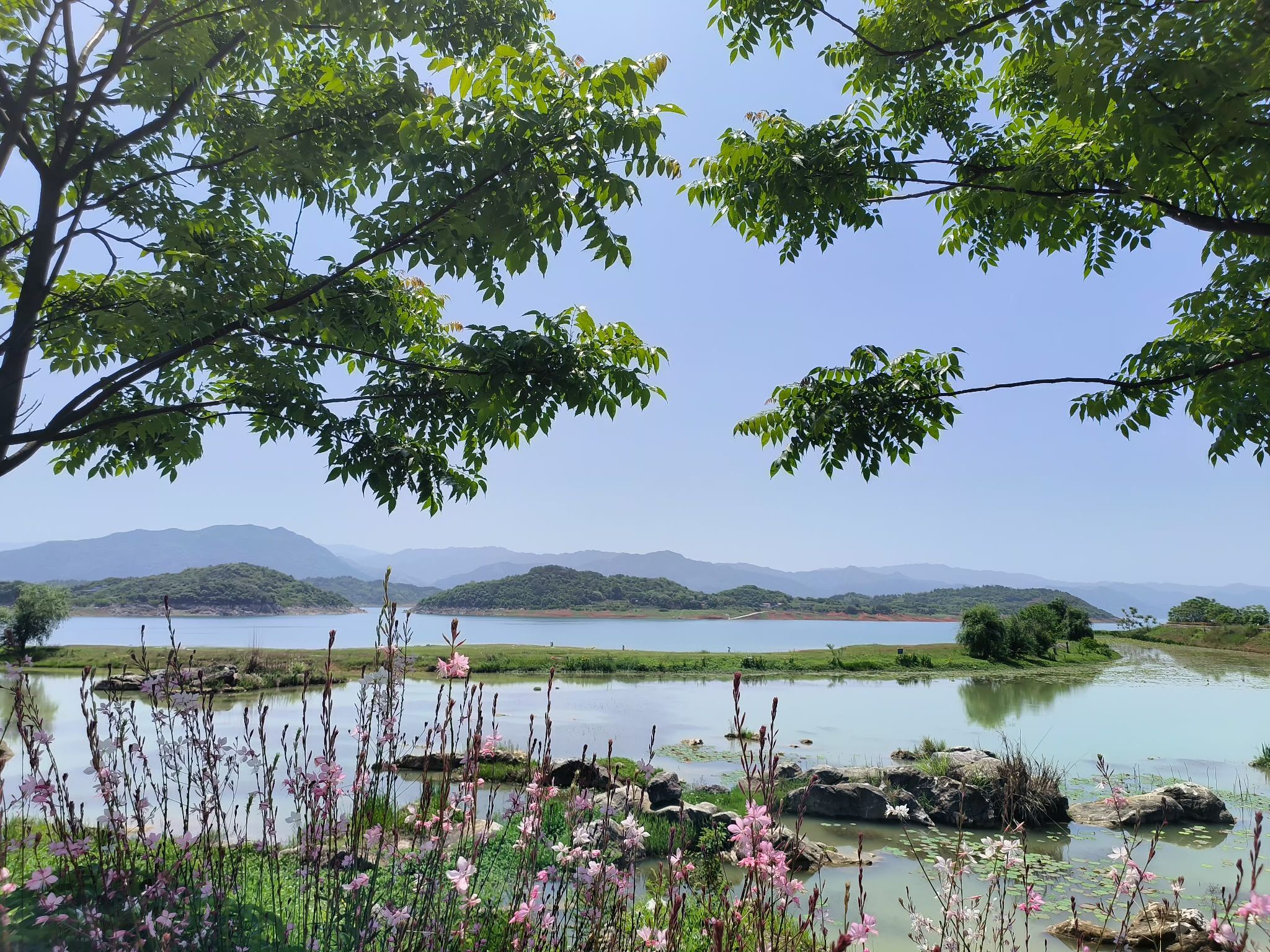 杭溪河入湖口湿地公园旅行图片