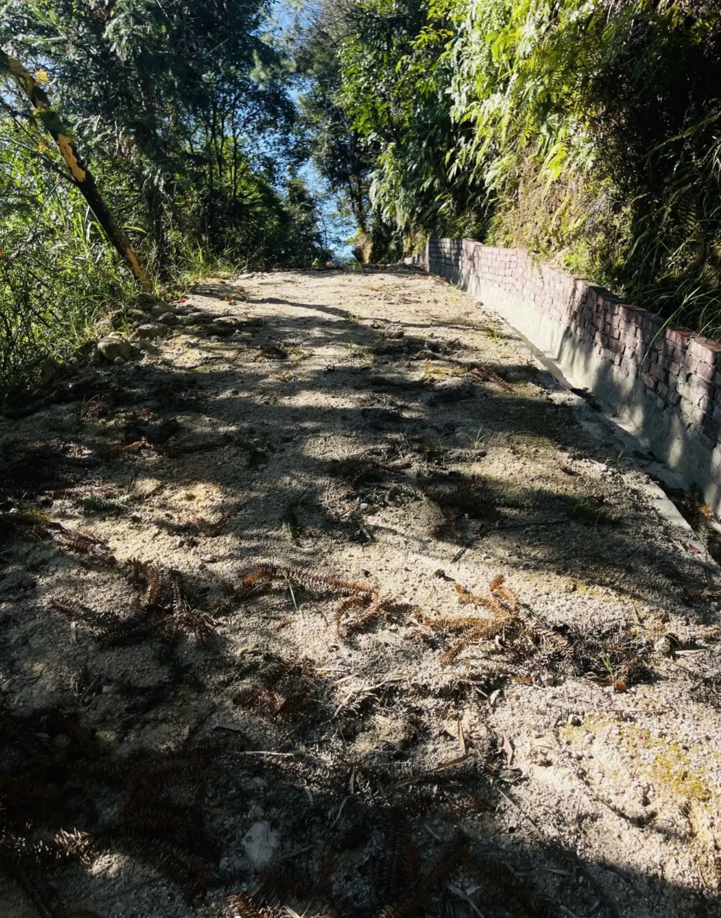 安溪铁观音发源地景区旅行图片 2
