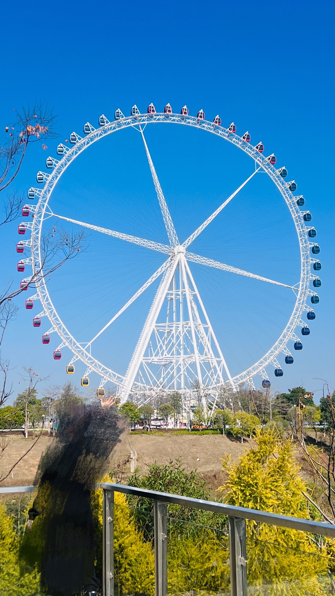 九子岭公园旅行图片 1