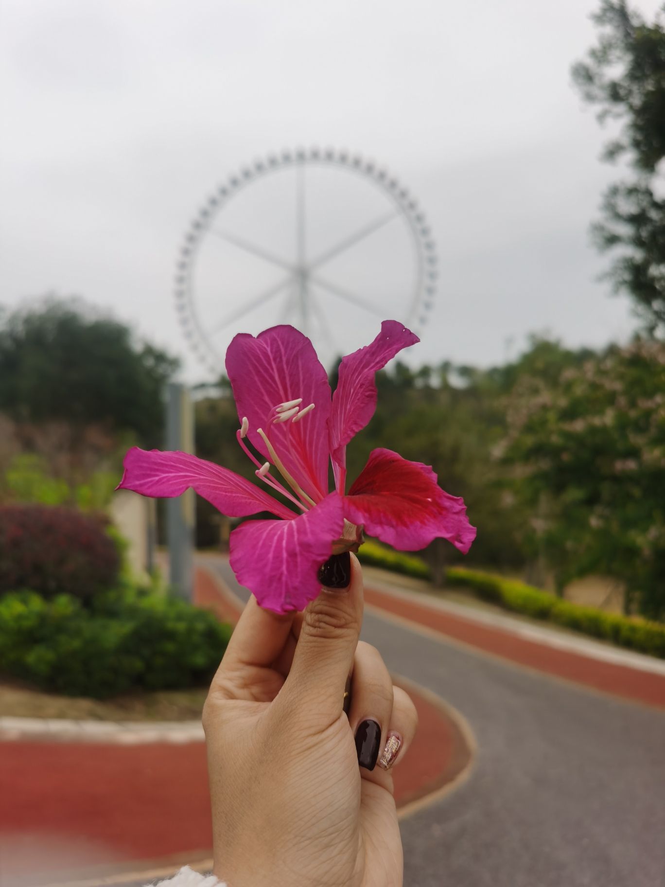 九子岭公园旅行图片 1