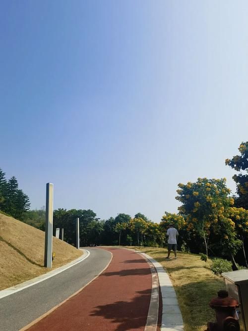 九子岭公园旅行图片 3