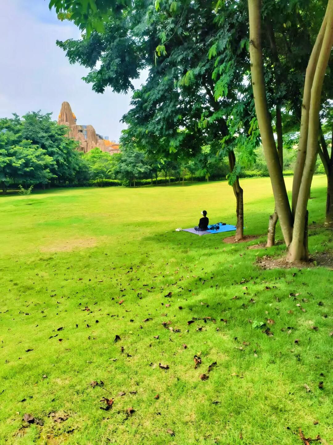 九子岭公园旅行图片 2