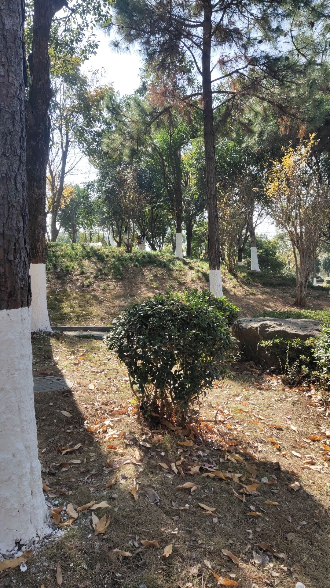 上京公园