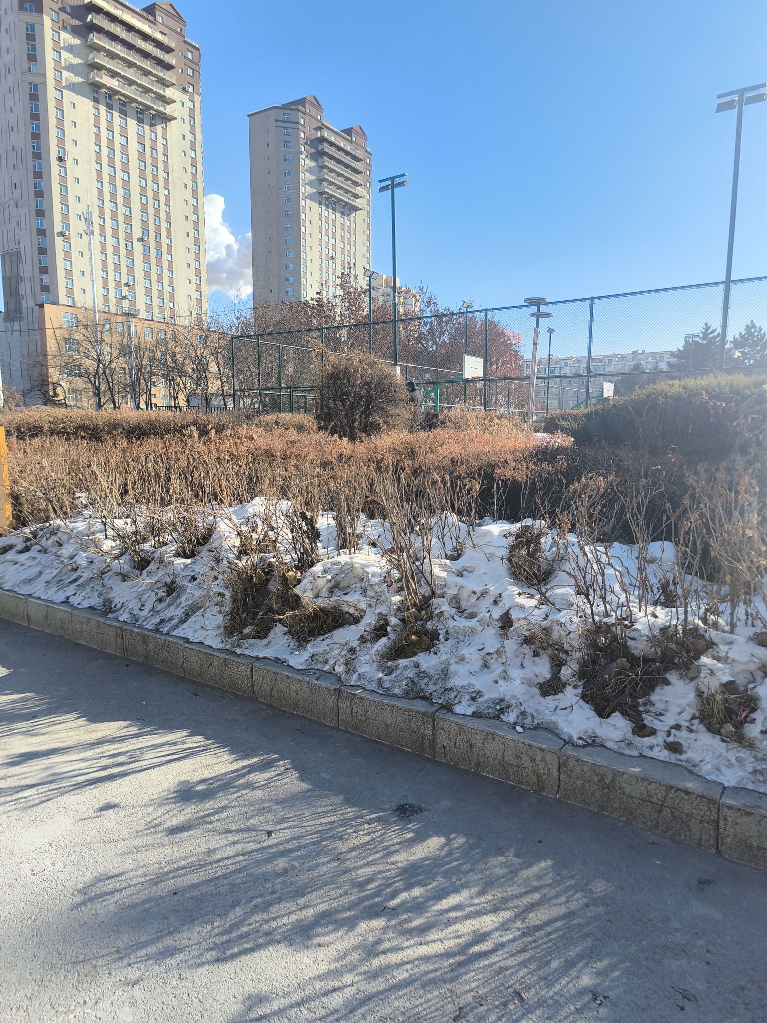 伯都讷文化公园旅行图片 1