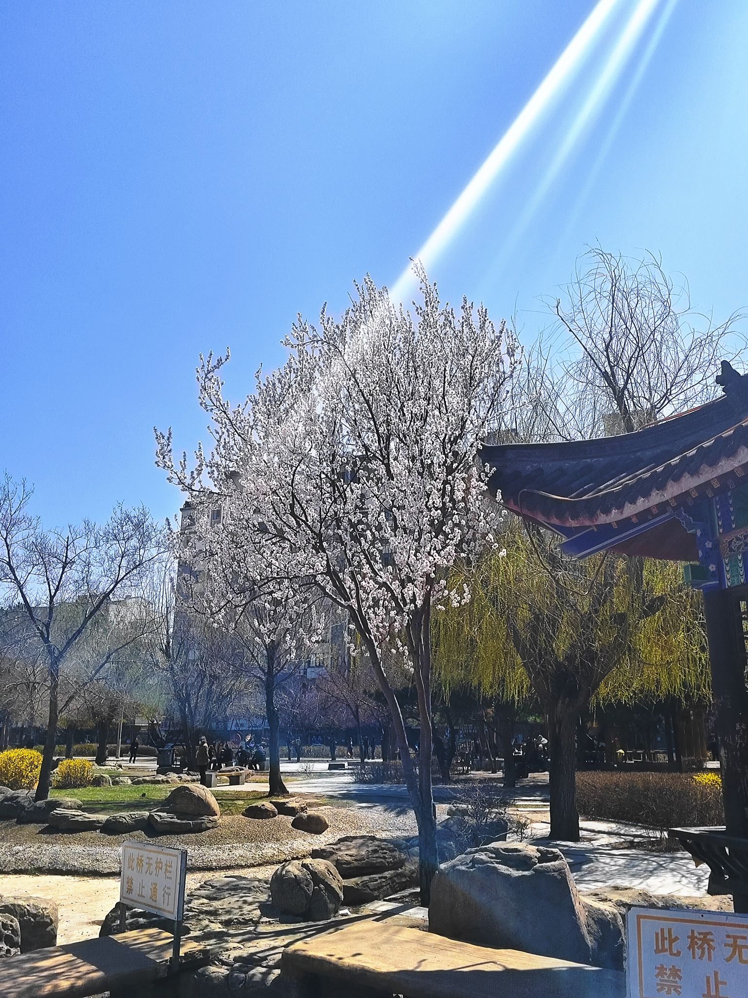 伯都讷文化公园