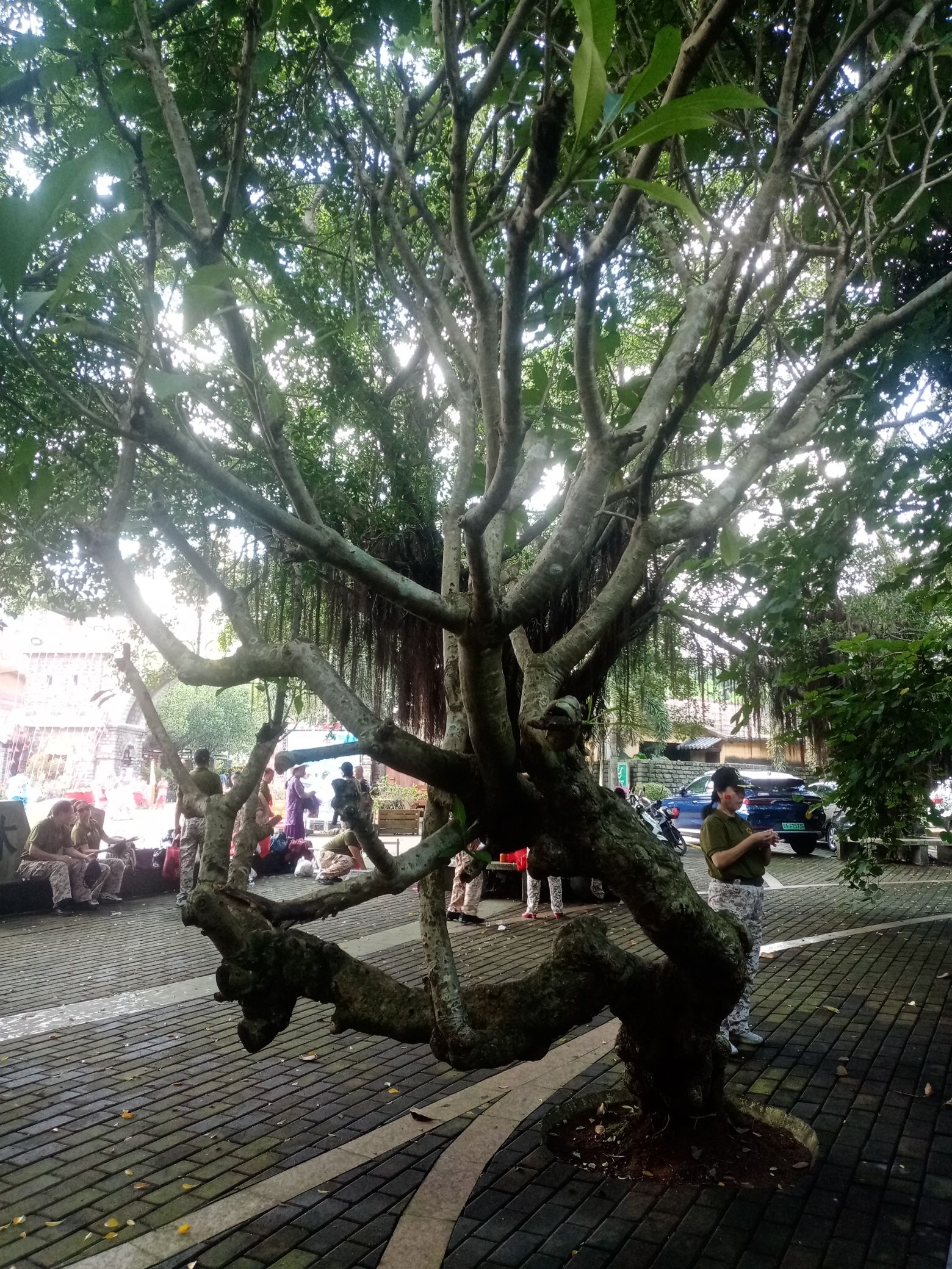螺岗小镇旅行图片 1
