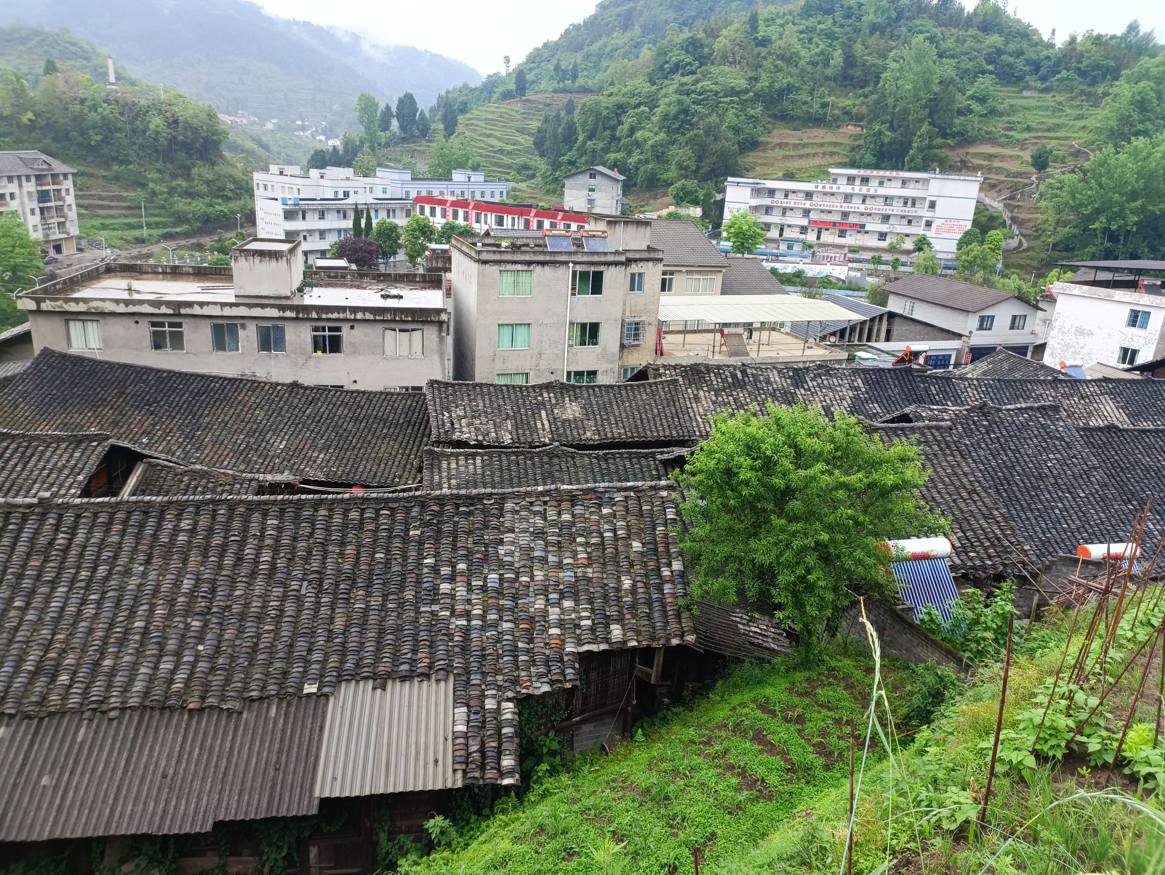毛石镇古街景区旅行图片 3