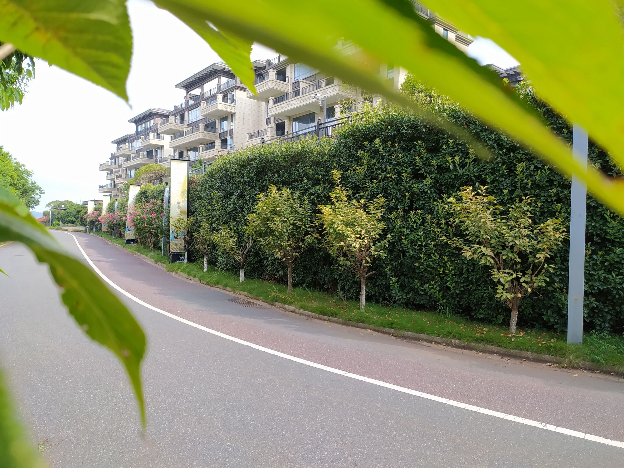 仙岭湖体育休闲公园旅行图片 1