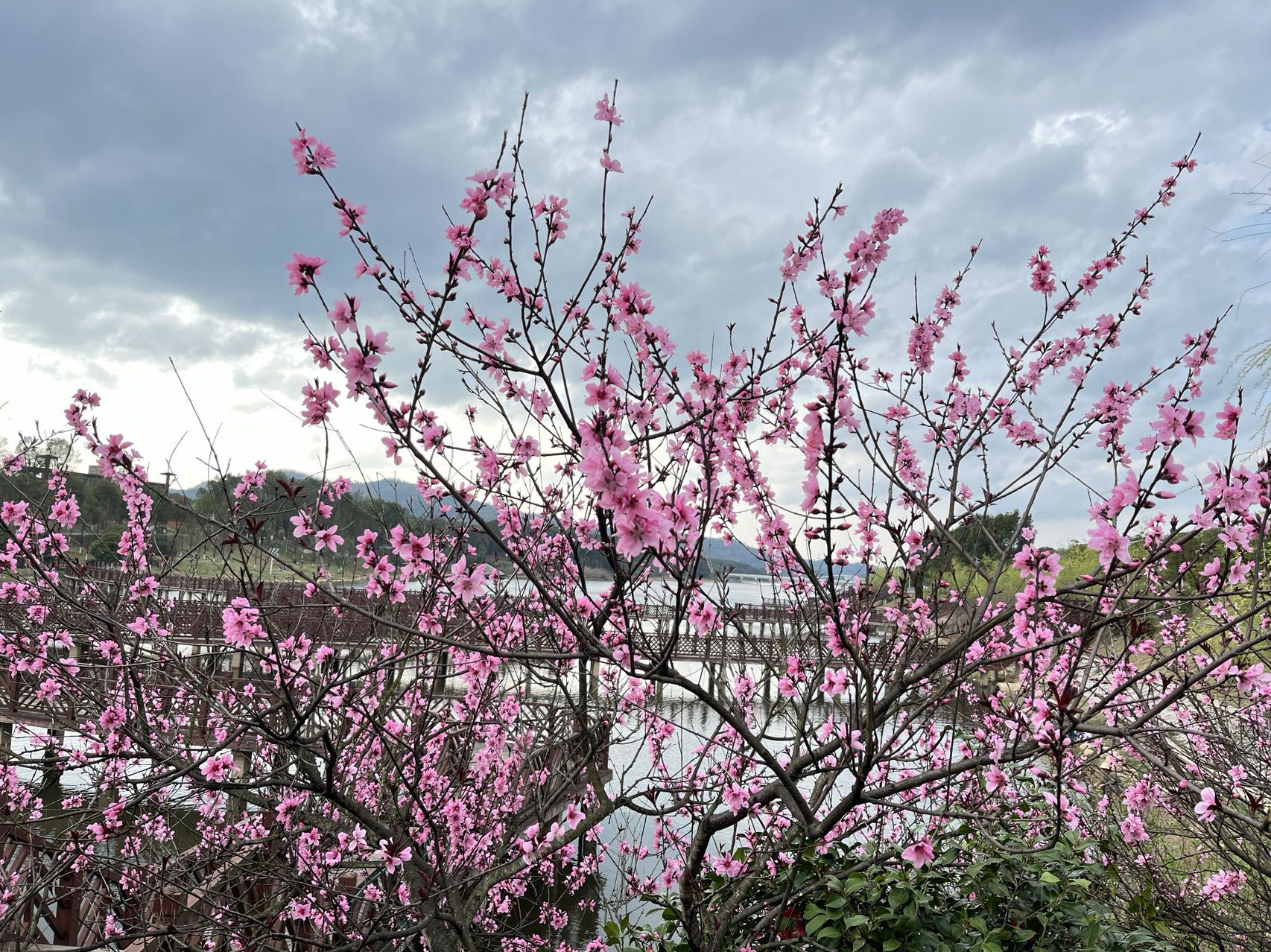 仙岭湖体育休闲公园旅行图片 1