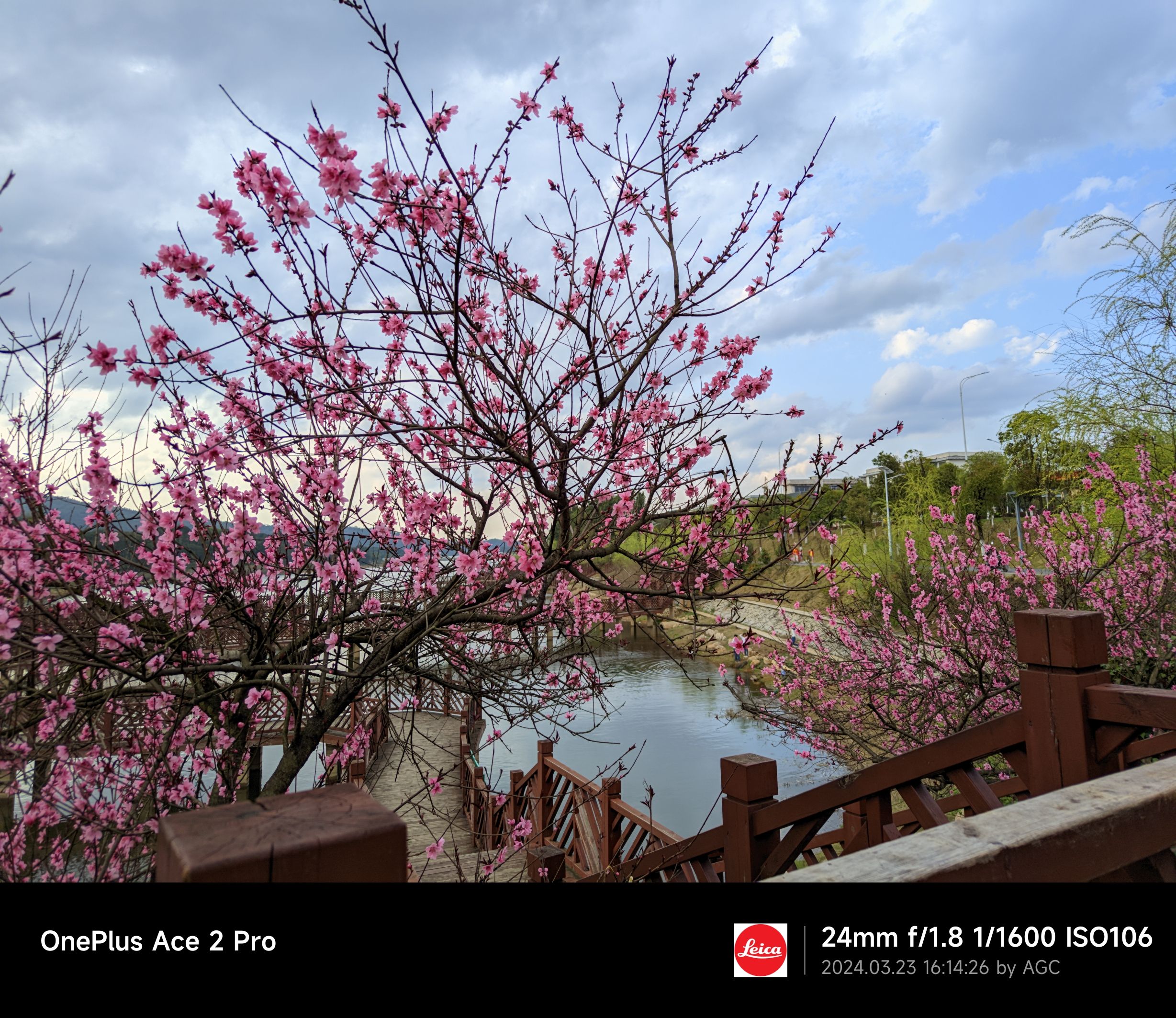 仙岭湖体育休闲公园旅行图片 3