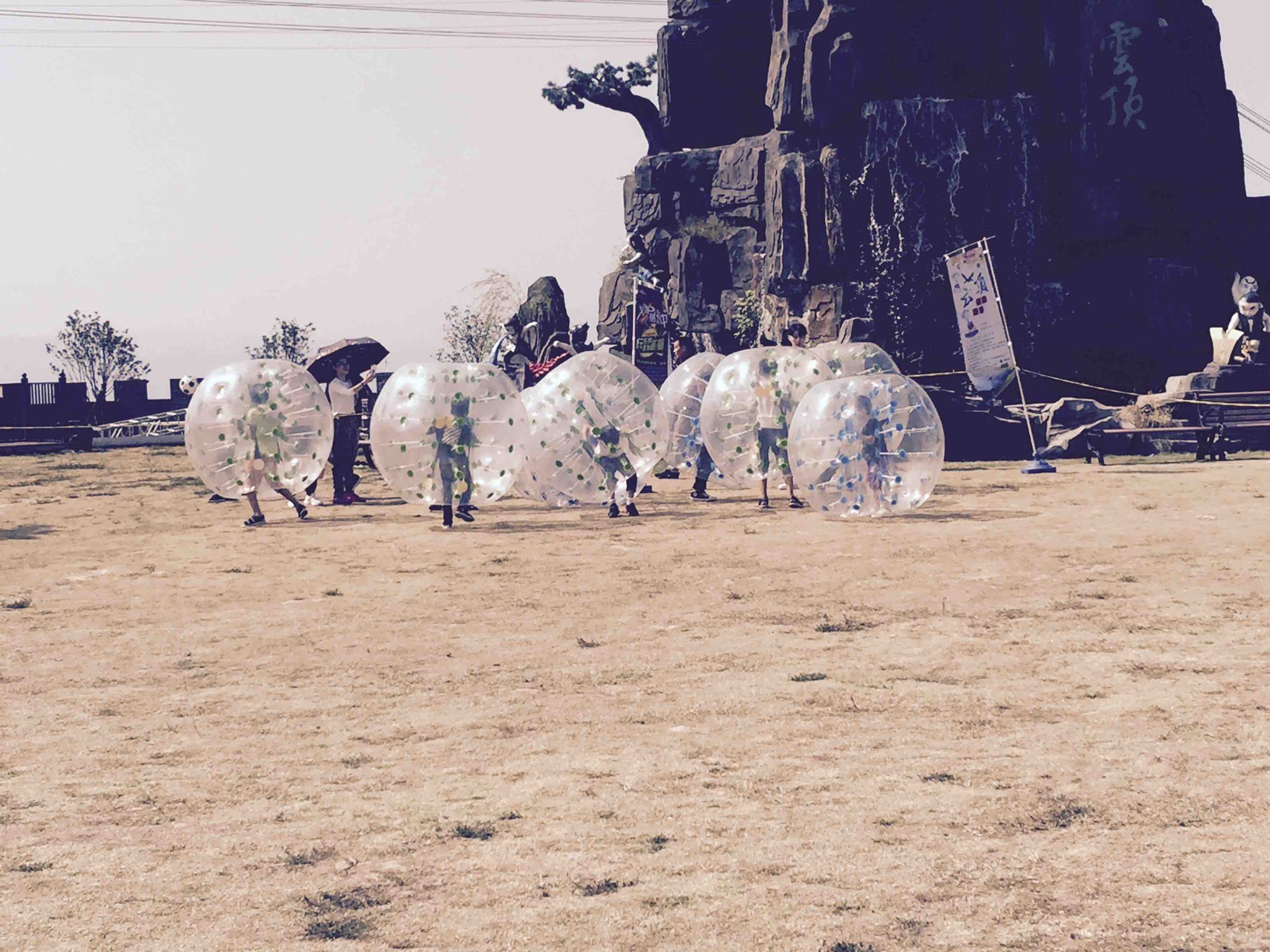云顶草上世界旅行图片 1
