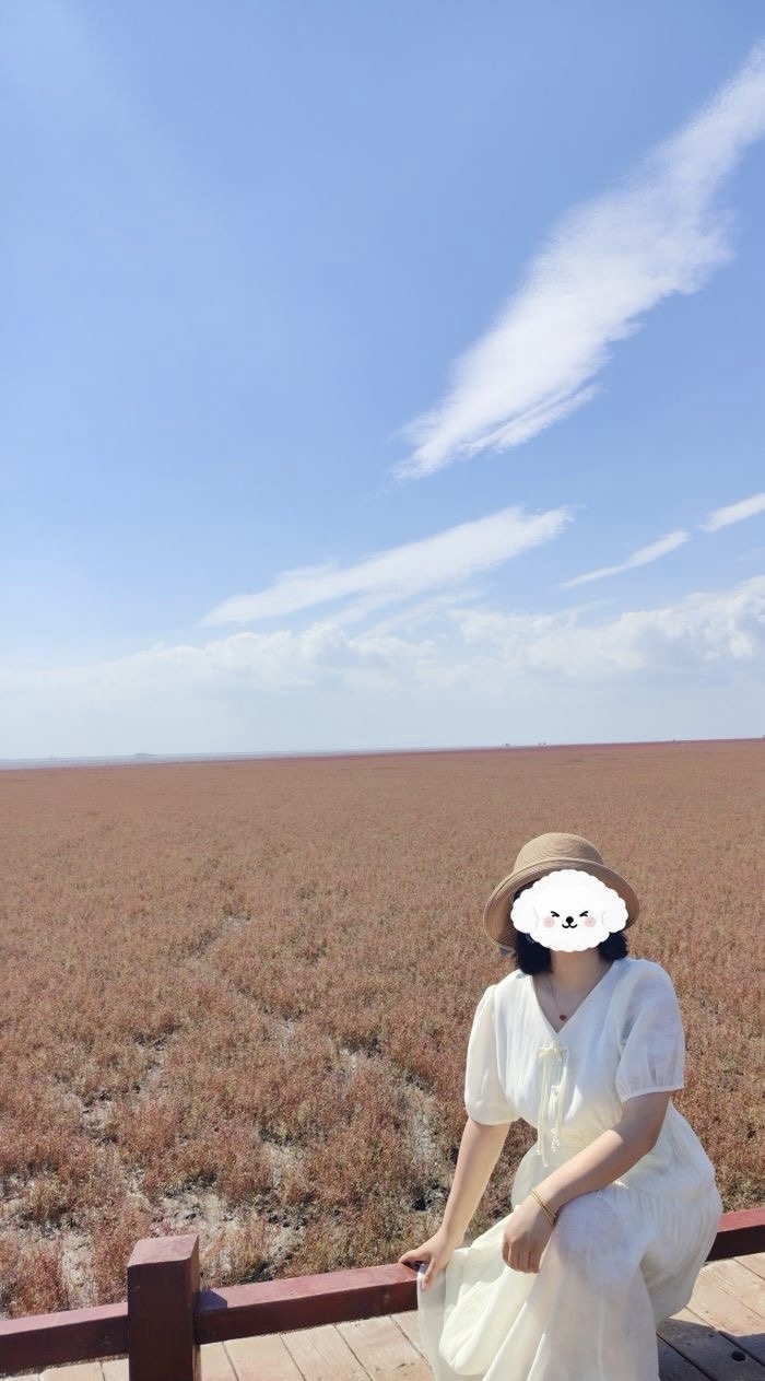 北海红海滩旅行图片 3