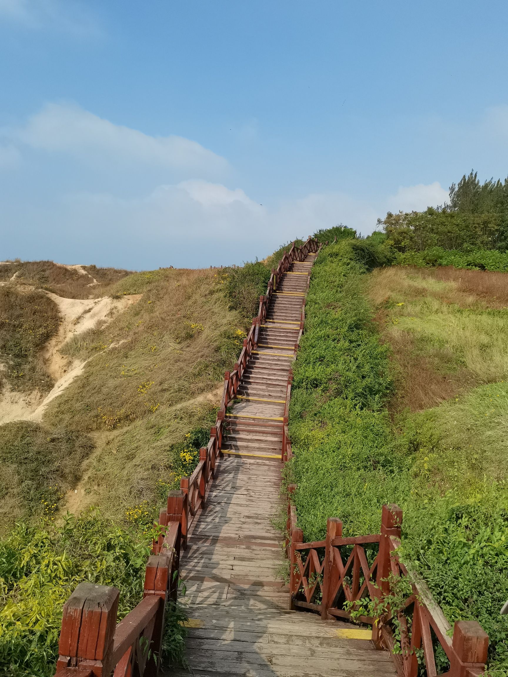 北海红海滩旅行图片 1