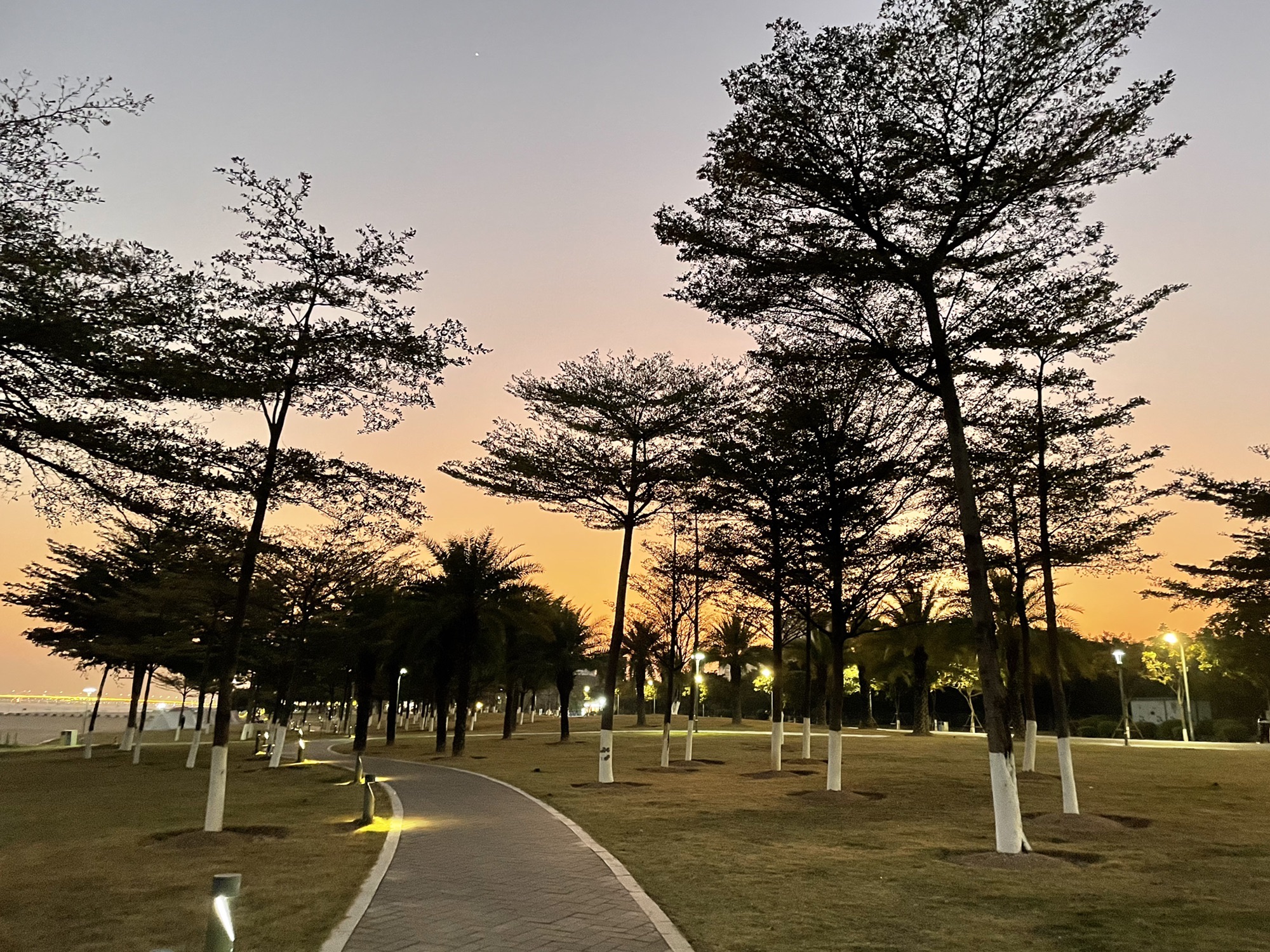 美峰体育公园旅行图片 3