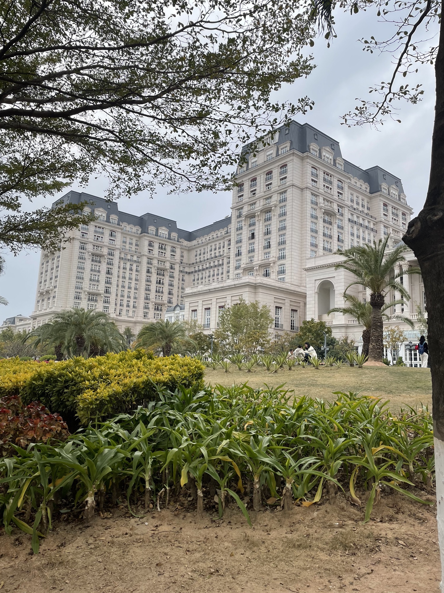 美峰体育公园旅行图片 2