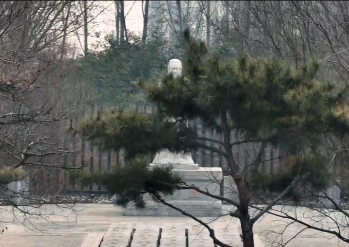 清丰县易园旅行图片 2