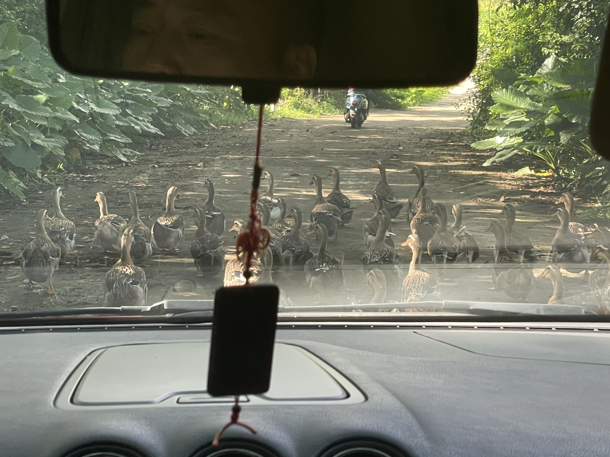 韦执谊墓旅行图片 3