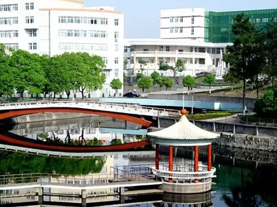 子正公园旅行图片 1