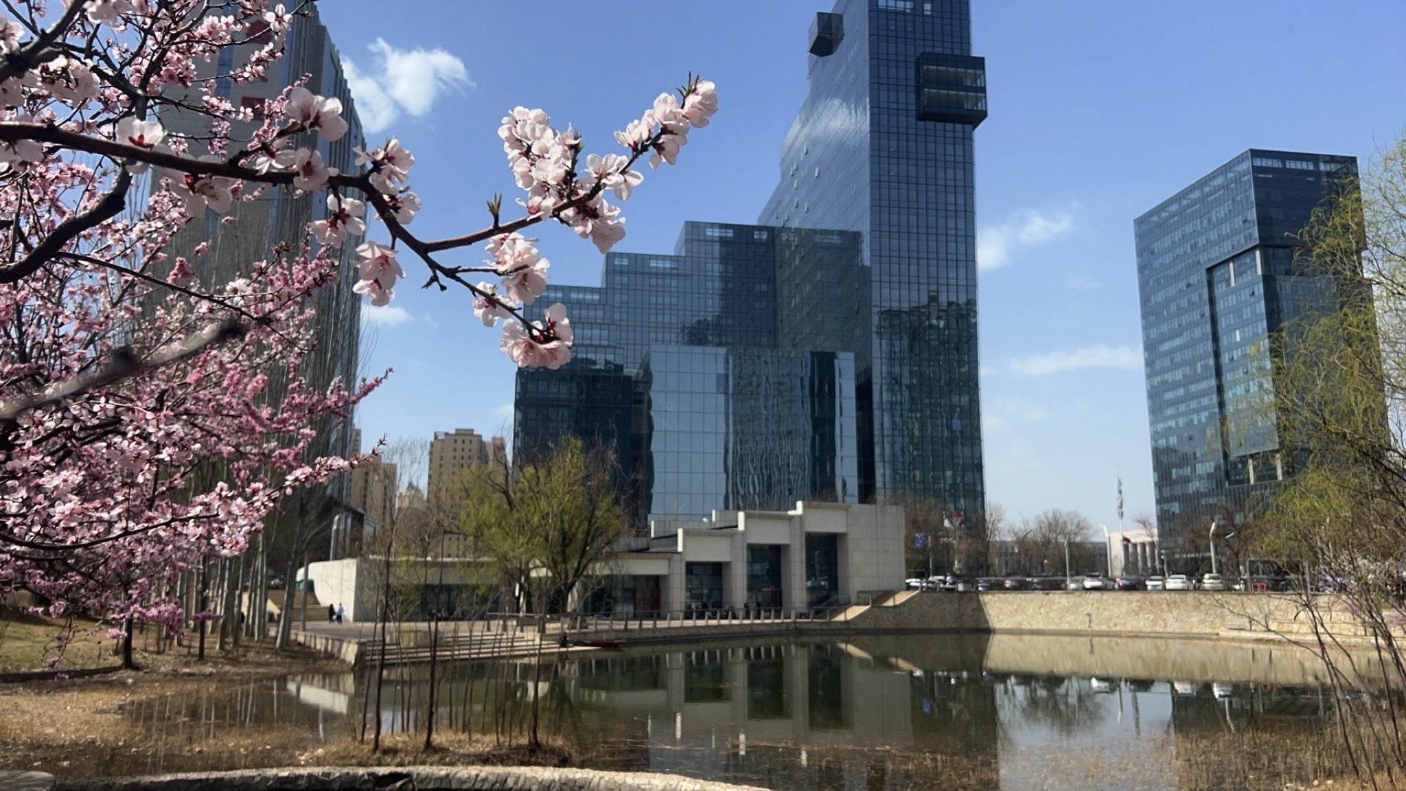 谐园旅行图片 1