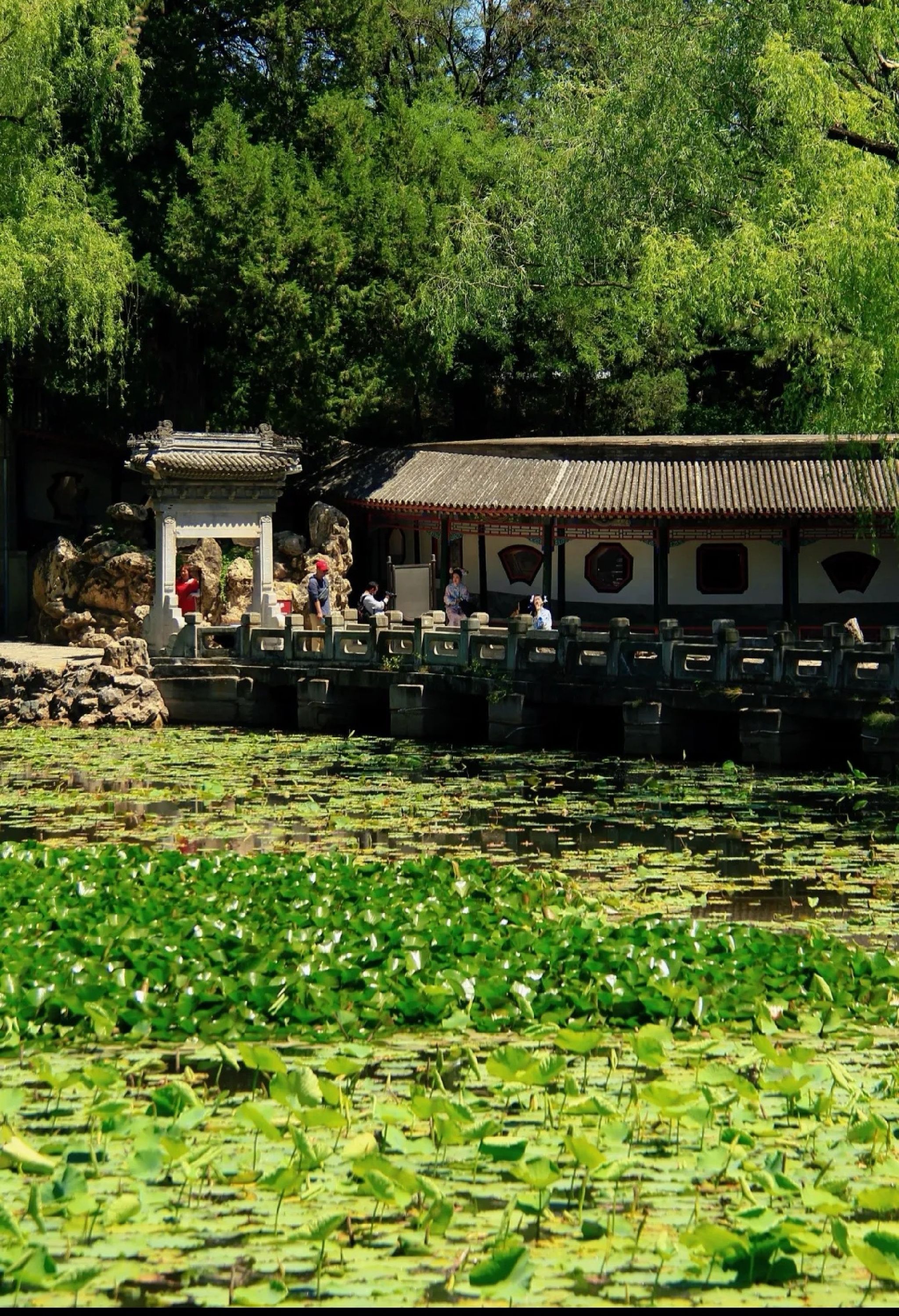 谐园旅行图片 1