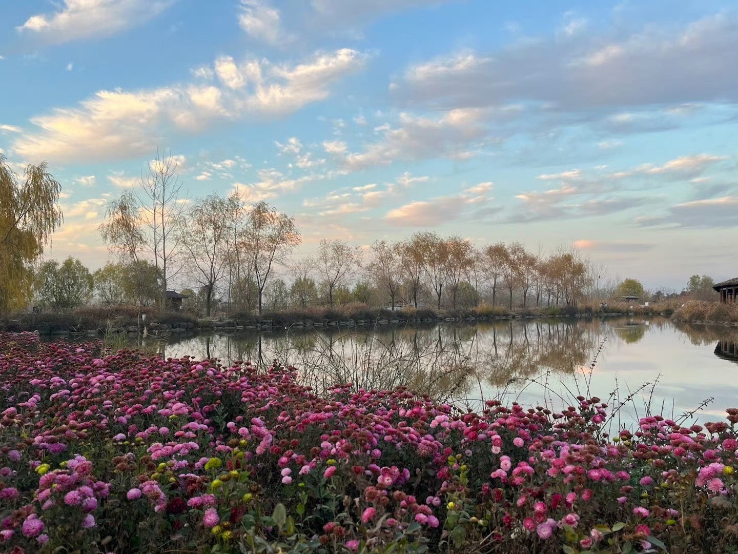 池杉湖国家湿地公园旅行图片 3