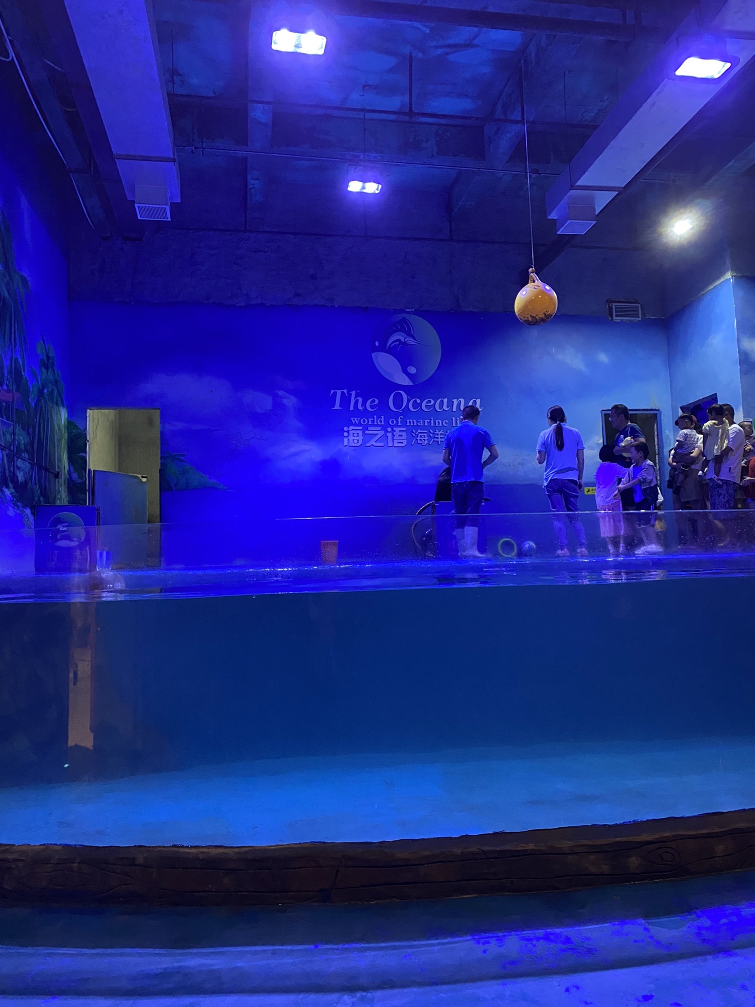 海之语海洋世界旅行图片 1
