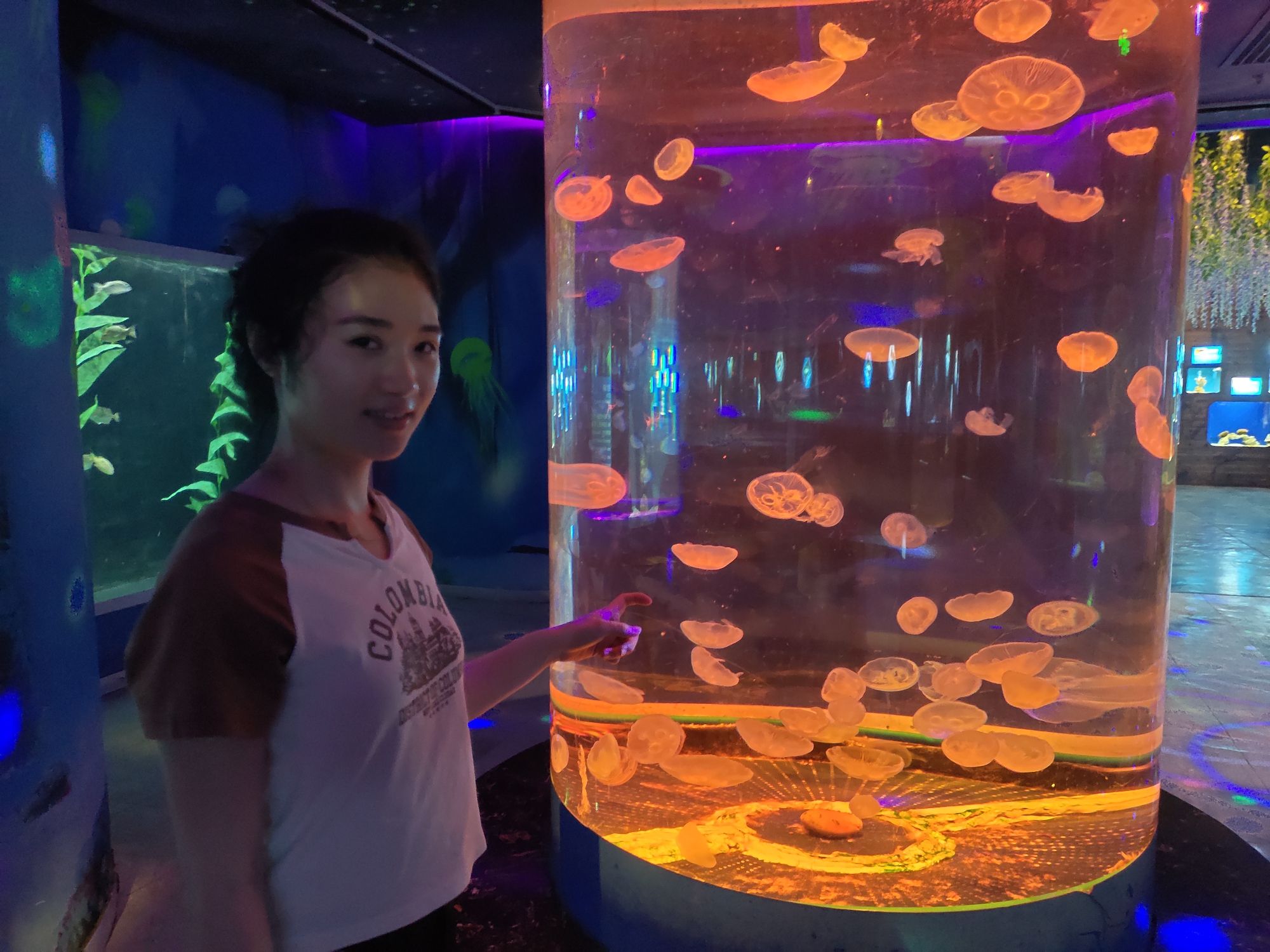 海之语海洋世界旅行图片 3