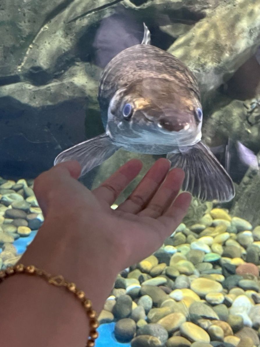 海之语海洋世界旅行图片 3