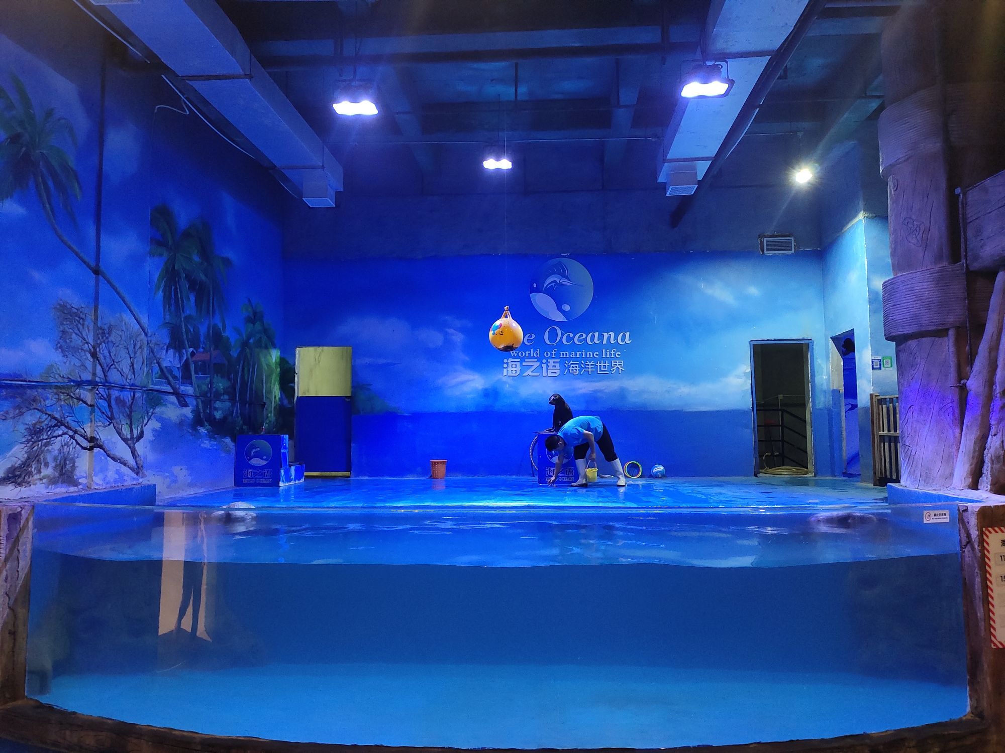 海之语海洋世界旅行图片 1