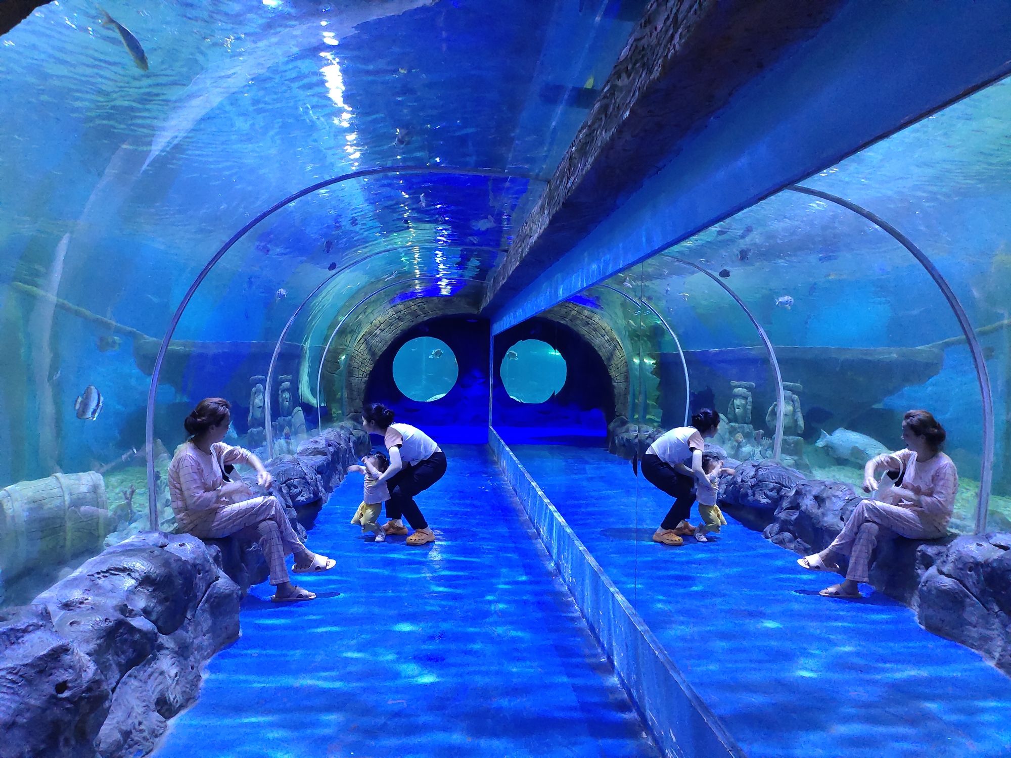 海之语海洋世界旅行图片 2