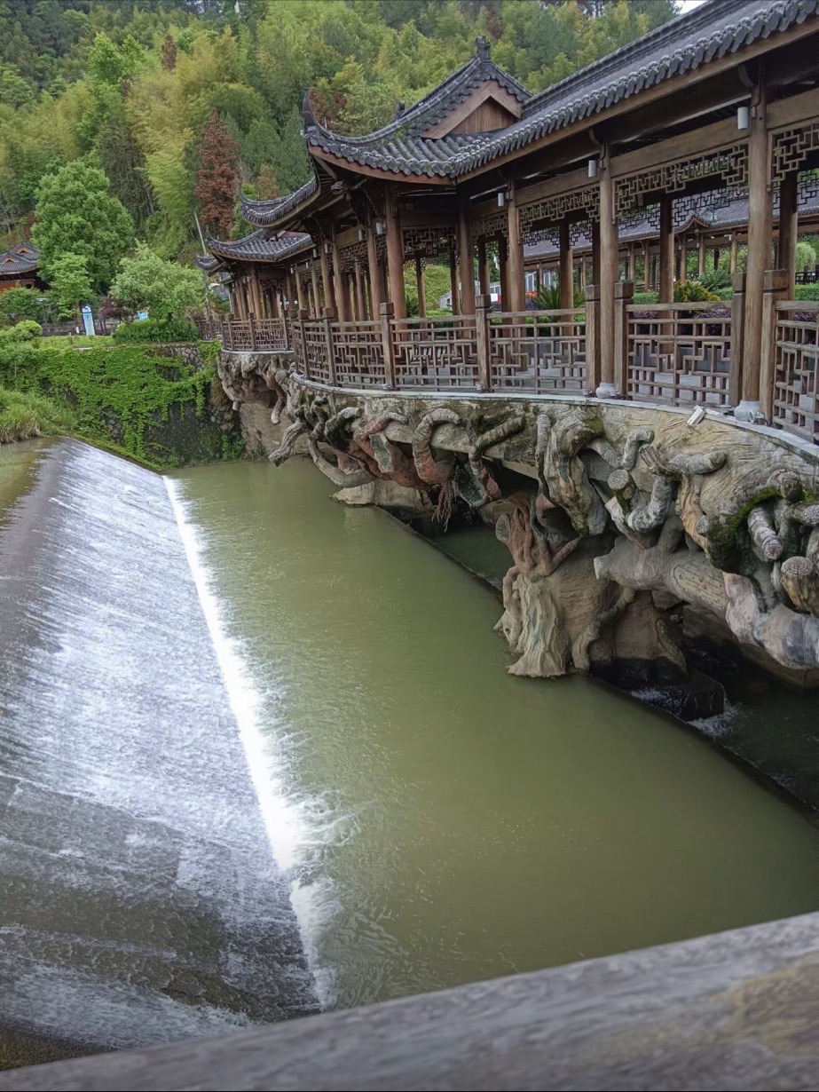 山哈宫旅行图片 1